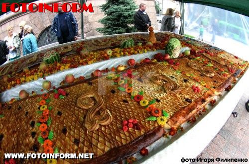 В Кировограде установлен новый рекорд Украины (фото)